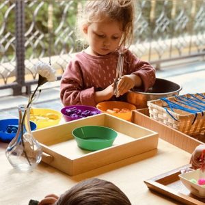 Montessori Uzmanlık Eğitimi 270 Saat